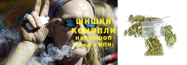 apvp Пересвет