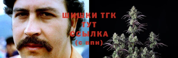 шишки Армянск