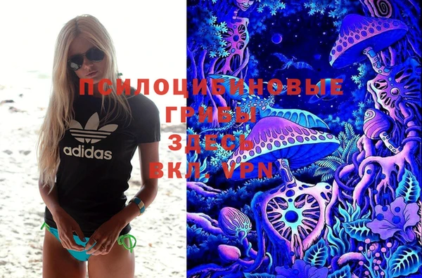 ALPHA-PVP Баксан