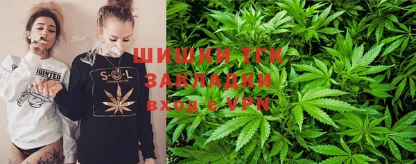 apvp Пересвет