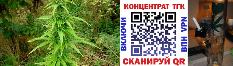 гидра рабочий сайт  наркота  Новоалександровск  ТГК Wax 